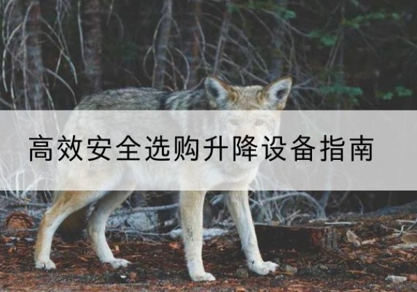 盘锦升降货梯厂家推荐-*安全选购升降设备指南