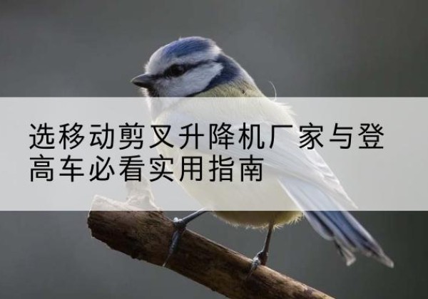 盘锦电动升降机厂家-选移动剪叉升降机厂家与登高车必看实用指南