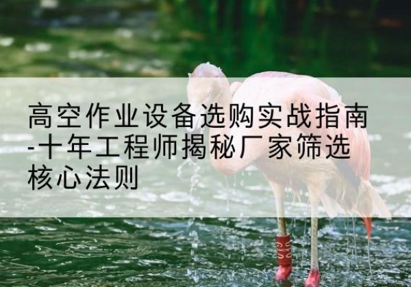 盘锦剪叉式升降机厂家-高空作业设备选购实战指南-十年工程师揭秘厂家筛选核心法则